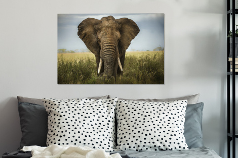 Canvas - Olifant - Natuur - Gras - Dieren-3