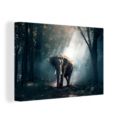 Canvas schilderij - Olifant - Licht - Bos - Natuur - Wilde dieren