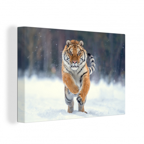 Leinwand - Tiger - Landschaft - Schnee - Tiere