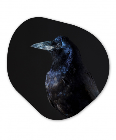 Organisch schilderij - Vogel - Dieren - Zwart