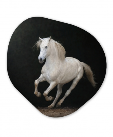 Organisch schilderij - Paarden - Zwart - Portret-1