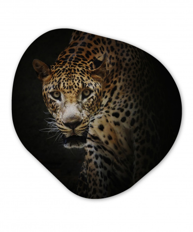 Organisches wandbild - Leopard - Wilde Tiere - Licht-thumbnail-1