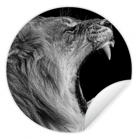 Runde Tapete - Tiere - Löwe - Schwarz - Weiß - Porträt-thumbnail-1