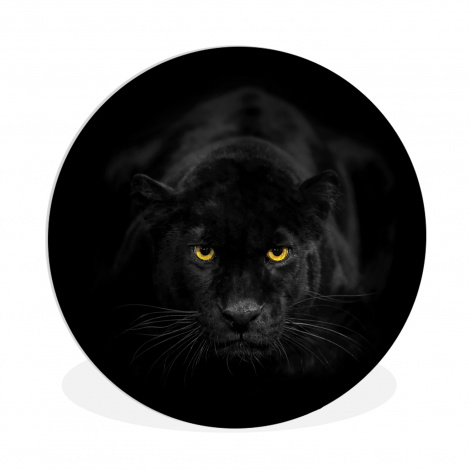 Runde Bilder - Panther - Tiere - Schwarz - Augen-thumbnail-1