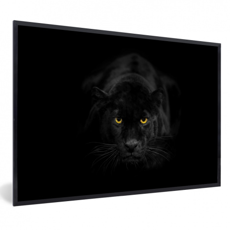 Poster mit Rahmen - Panther - Tiere - Schwarz - Augen - Horizontal-1
