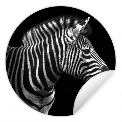 Runde Tapete - Zebra - Schwarz - Weiß - Porträt - Tiere-thumbnail-1