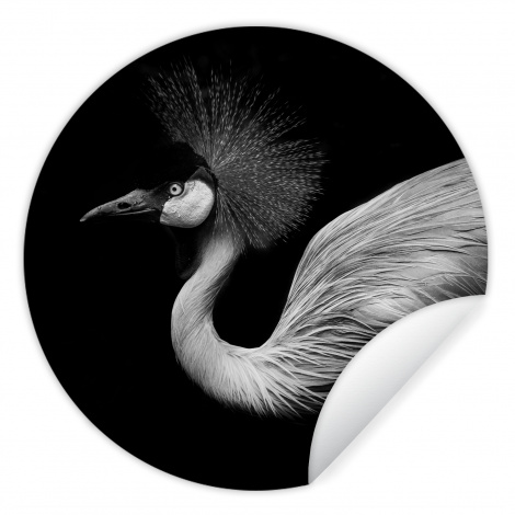 Runde Tapete - Kranich - Schwarz - Weiß - Vogel - Tiere-1