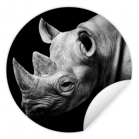 Runde Tapete - Tiere - Nashorn - Schwarz - Weiß - Porträt