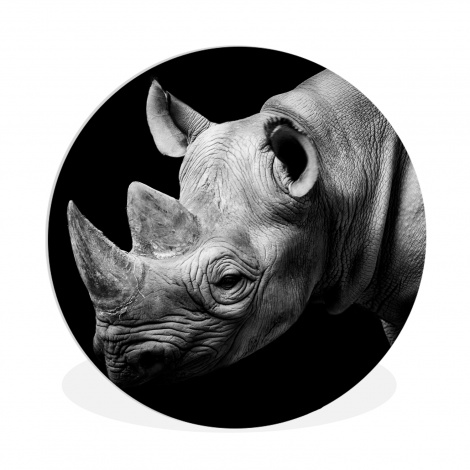 Runde Bilder - Tiere - Nashorn - Schwarz - Weiß - Porträt