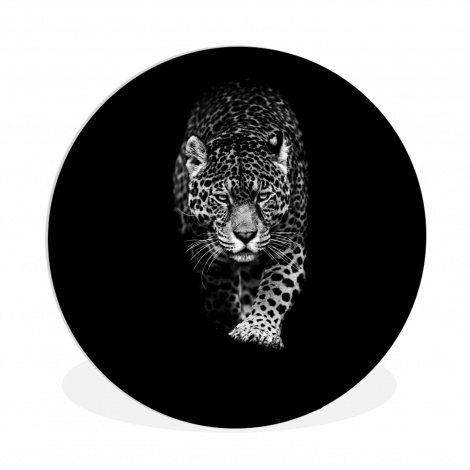 Runde Bilder - Tiere - Schwarz - Leopard - Weiß - Wild-thumbnail-1