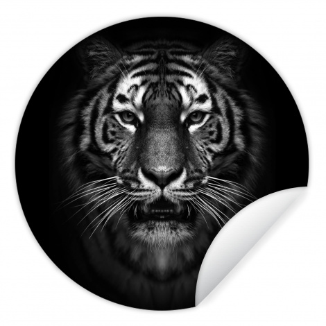 Runde Tapete - Tiger - Tiere - Schwarz - Weiß - Porträt - Wild