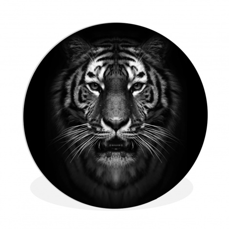 Runde Bilder - Tiger - Tiere - Schwarz - Weiß - Porträt - Wild-thumbnail-1