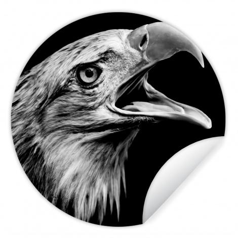 Behangcirkel - Adelaar - Portret - Roofvogels - Zwart - Wit - Vogel