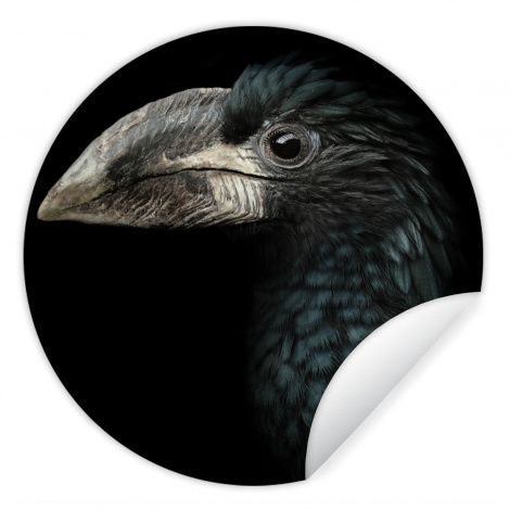 Behangcirkel - Vogel - Portret - Neushoornvogel - Zwart - Dieren