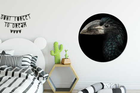 Behangcirkel - Vogel - Portret - Neushoornvogel - Zwart - Dieren-thumbnail-2
