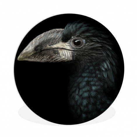 Muurcirkel - Vogel - Portret - Neushoornvogel - Zwart - Dieren-thumbnail-1
