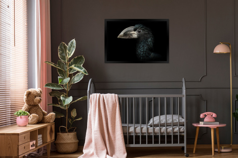 Poster met lijst - Vogel - Portret - Neushoornvogel - Zwart - Dieren - Liggend-3
