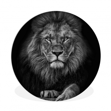 Runde Bilder - Löwe - Tiere - Schwarz - Weiß