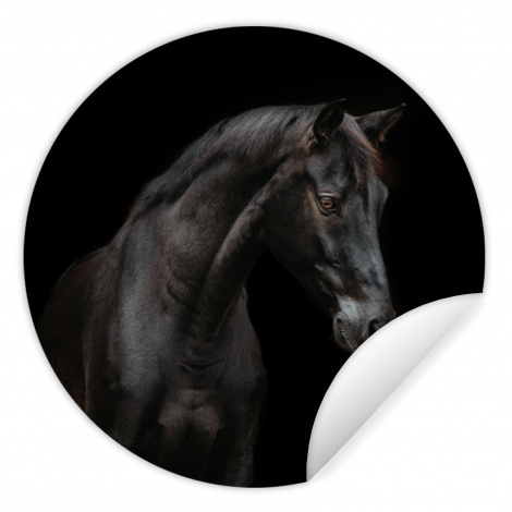 Runde Tapete - Pferd - Tiere - Schwarz - Porträt