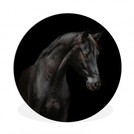 Runde Bilder - Pferd - Tiere - Schwarz - Porträt-thumbnail-1