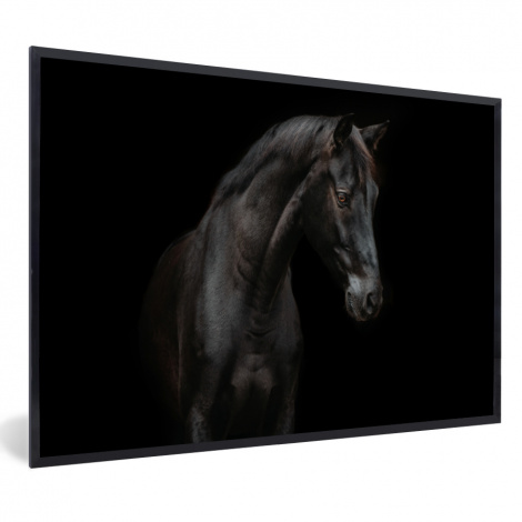 Poster met lijst - Paard - Dieren - Zwart - Portret - Liggend-thumbnail-1