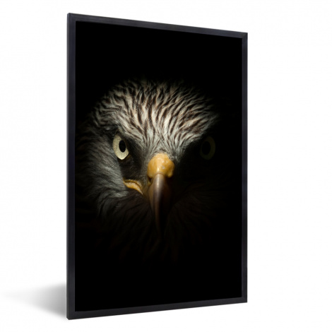 Poster mit Rahmen - Vogel - Adler - Raubvögel - Auge - Schnabel - Licht - Vertikal-thumbnail-1