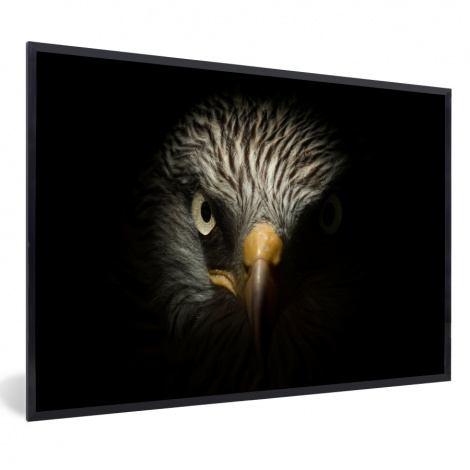Poster mit Rahmen - Vogel - Adler - Raubvögel - Auge - Schnabel - Licht - Horizontal-1