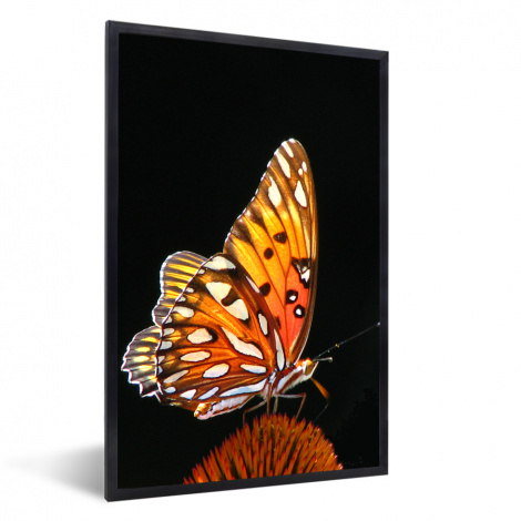 Poster met lijst - Vlinder - Bloemen - Insect - Portret - Zwart - Oranje - Staand-1