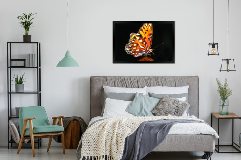 Poster met lijst - Vlinder - Bloemen - Insect - Portret - Zwart - Oranje - Liggend-4
