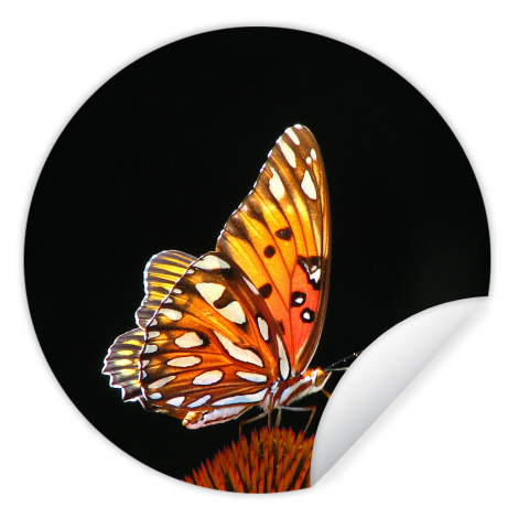 Runde Tapete - Schmetterling - Blumen - Insekt - Porträt - Schwarz - Orange