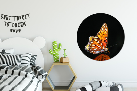 Runde Tapete - Schmetterling - Blumen - Insekt - Porträt - Schwarz - Orange-2