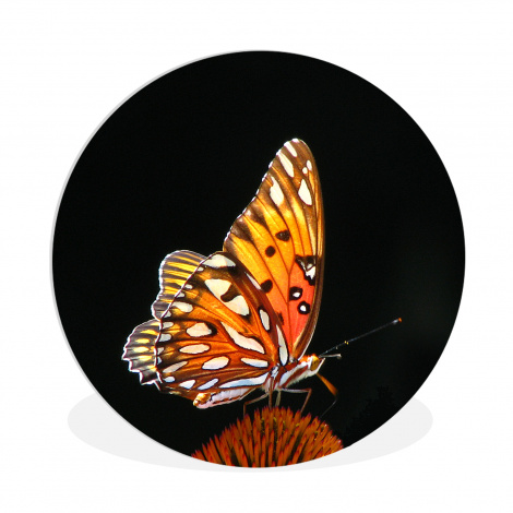 Muurcirkel - Vlinder - Bloemen - Insect - Portret - Zwart - Oranje-thumbnail-1