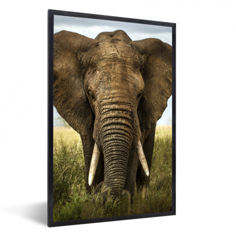 Poster mit Rahmen - Elefant - Natur - Gras - Tiere - Landschaft - Vertikal