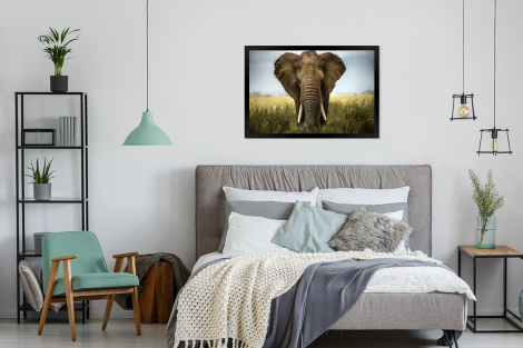 Poster mit Rahmen - Elefant - Natur - Gras - Tiere - Landschaft - Horizontal-4