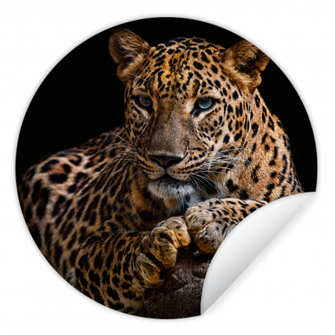 Runde Tapete - Wildtiere - Panther - Porträt - Schwarz - Tiere