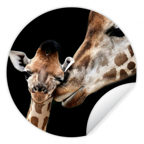 Runde Tapete - Giraffe - Tiere - Schwarz - Porträt - Tiere-1