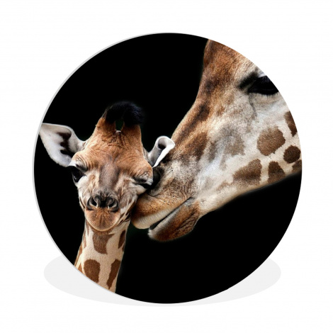Muurcirkel - Giraffe - Dieren - Zwart - Portret - Dieren-thumbnail-1