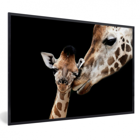 Poster met lijst - Giraffe - Dieren - Zwart - Portret - Dieren - Liggend-thumbnail-1
