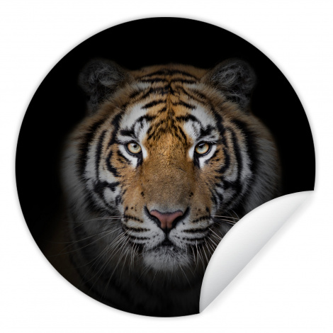 Runde Tapete - Tiger - Wildtiere - Porträt - Schwarz - Tiere