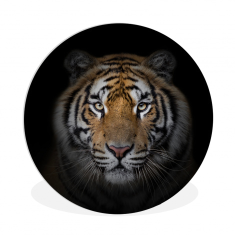 Runde Bilder - Tiger - Wildtiere - Porträt - Schwarz - Tiere-thumbnail-1