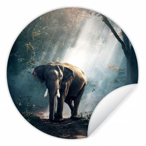Runde Tapete - Elefant - Tiere - Licht - Wald - Natur - Wildtiere-1