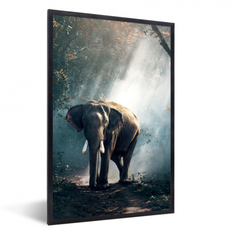 Poster mit Rahmen - Elefant - Tiere - Licht - Wald - Natur - Wildtiere - Vertikal