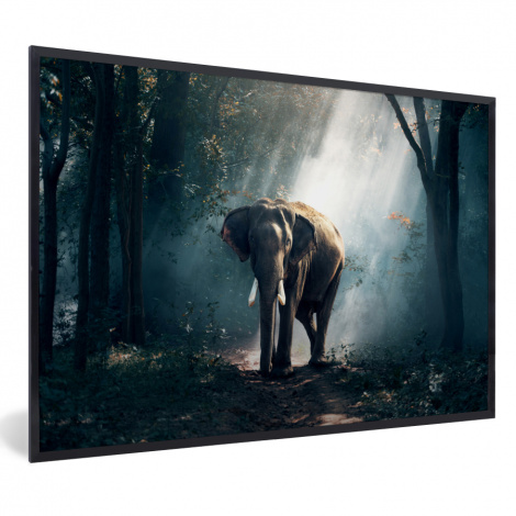 Poster mit Rahmen - Elefant - Tiere - Licht - Wald - Natur - Wildtiere - Horizontal-thumbnail-1