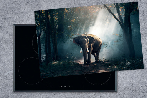 Herdabdeckplatte - Elefant - Tiere - Licht - Wald - Natur - Wildtiere-thumbnail-1