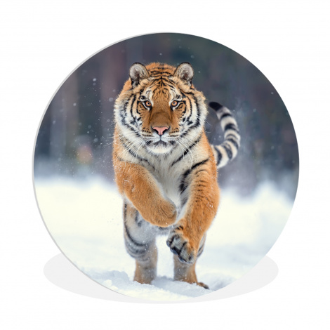 Runde Bilder - Tiger - Landschaft - Schnee - Tiere-1
