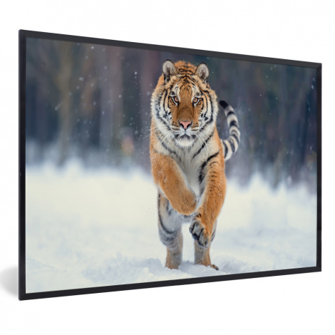 Poster mit Rahmen - Tiger - Landschaft - Schnee - Tiere - Horizontal