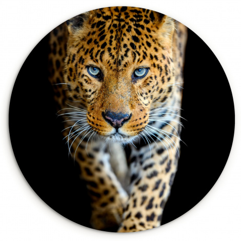 Muurcirkel - Luipaard - Dieren - Portret - Wilde dieren - Zwart-1