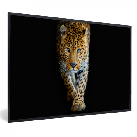 Poster mit Rahmen - Leopard - Tiere - Porträt - Wildtiere - Schwarz - Horizontal