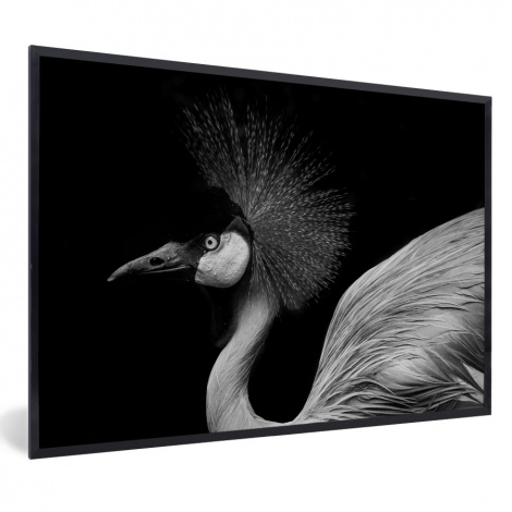 Poster mit Rahmen - Kranich - Schwarz - Weiß - Vogel - Tiere - Horizontal