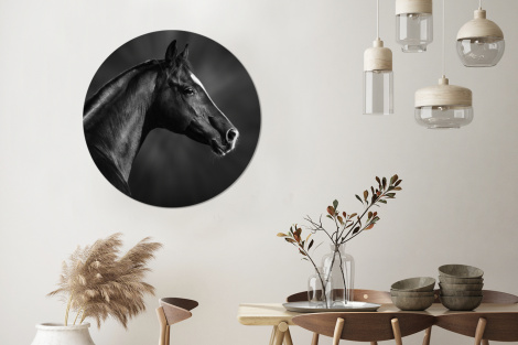 Runde Tapete - Pferd - Tiere - Schwarz - Weiß - Porträt-3